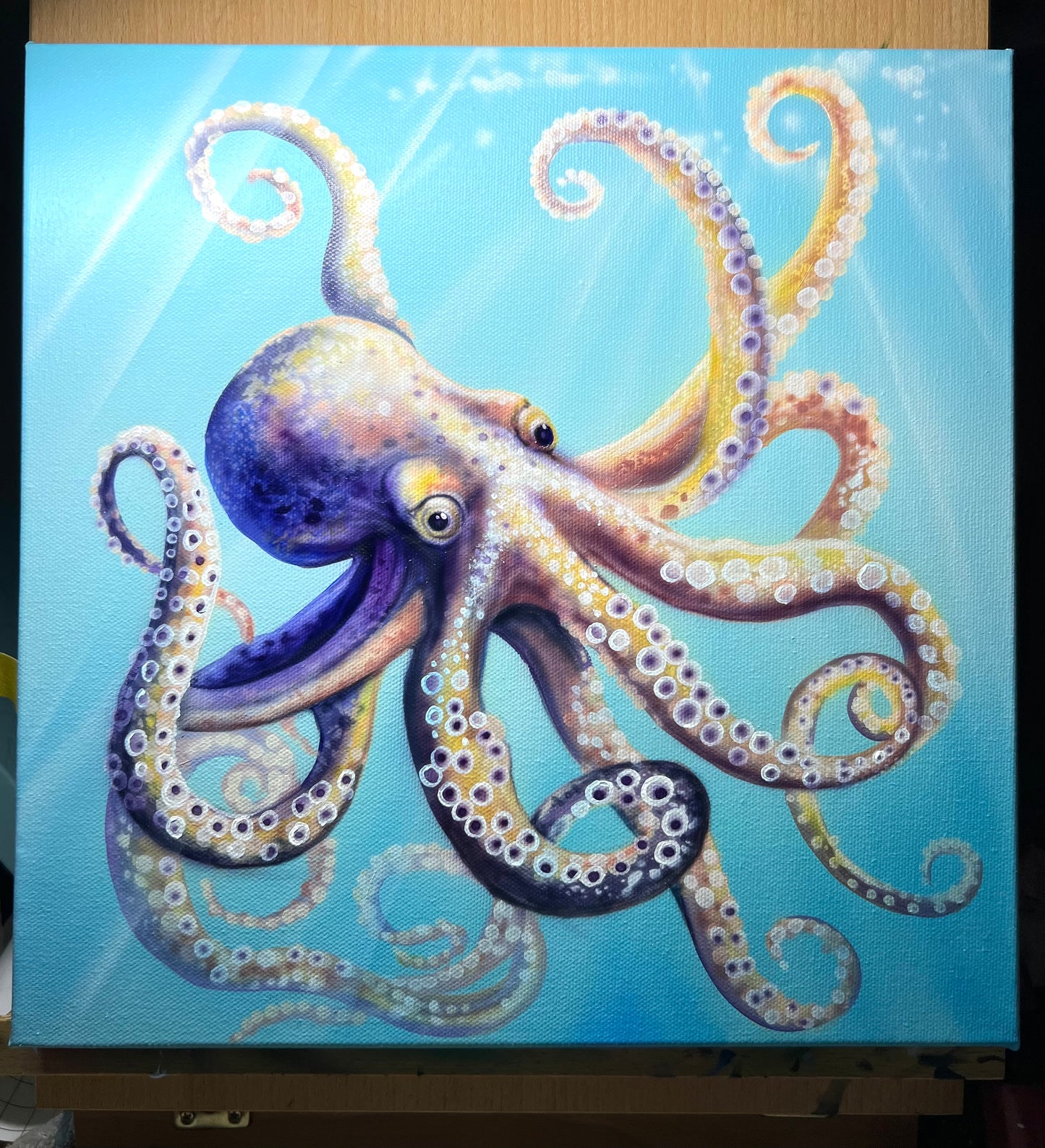 Cute Octopus
