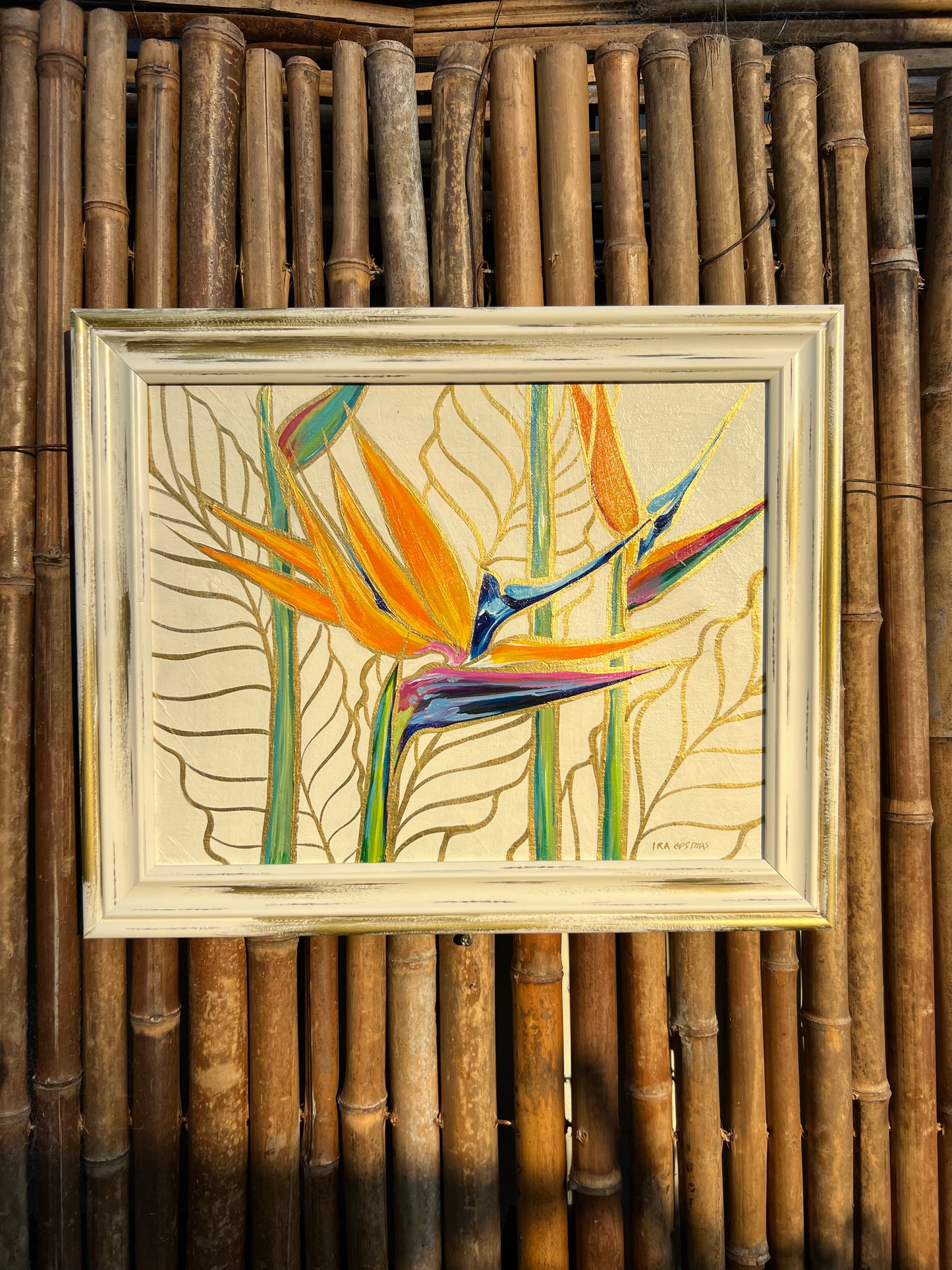Birds of Paradise