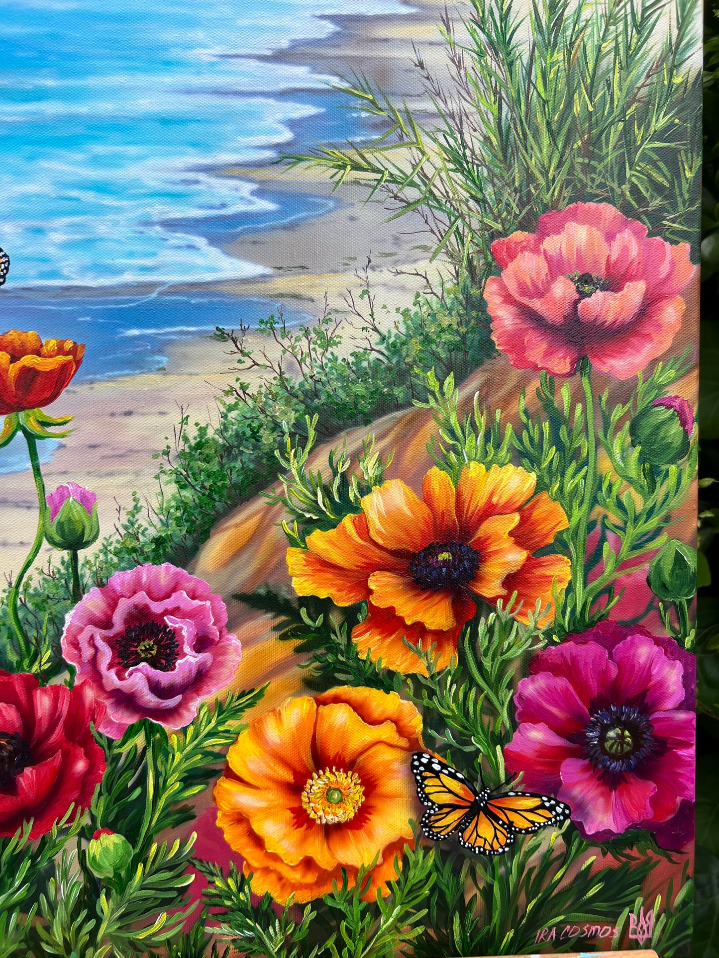 Print on canvas Carlsbad Views. Size 36x24