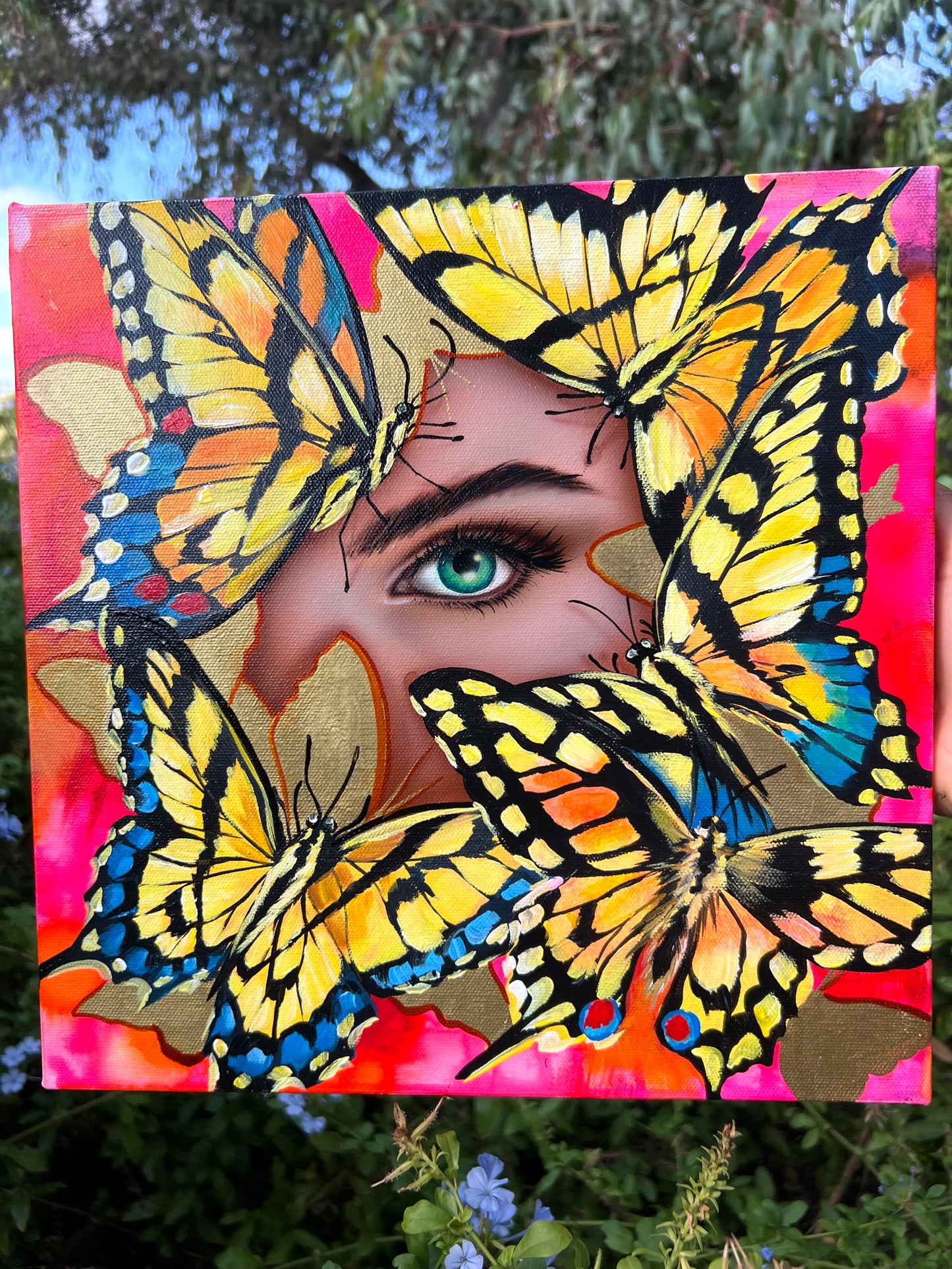 Eye of the Butterfly
