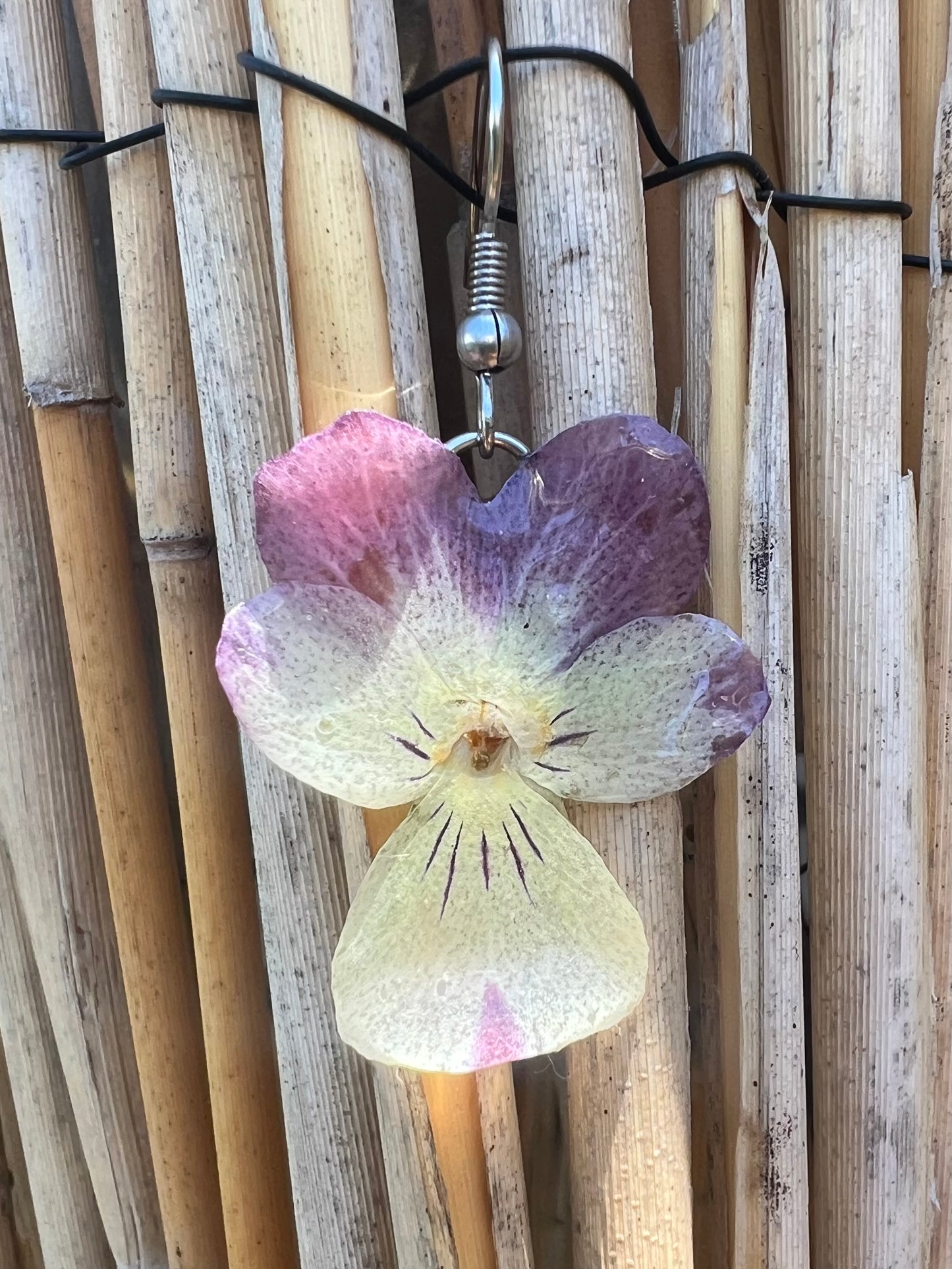 Real Viola flowers earrings