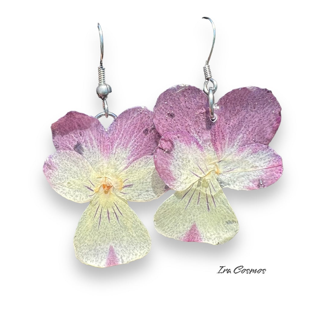 Real Viola flowers earrings