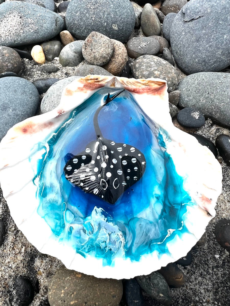Stingray in the shell