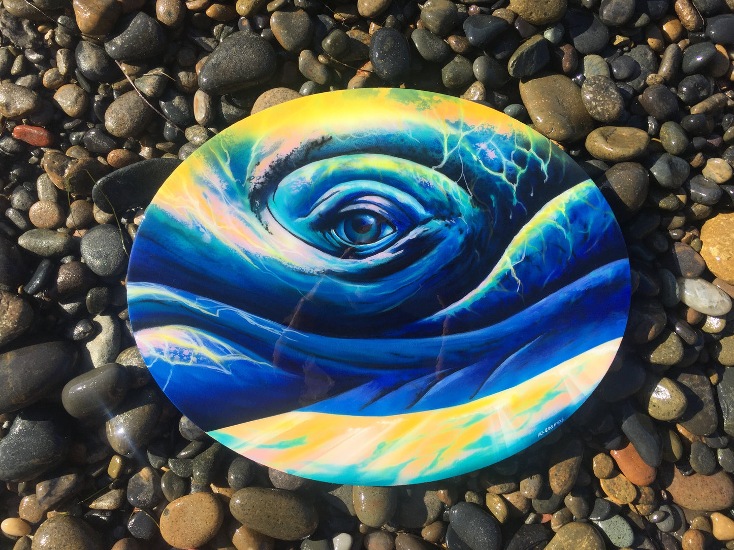 Whale Eye