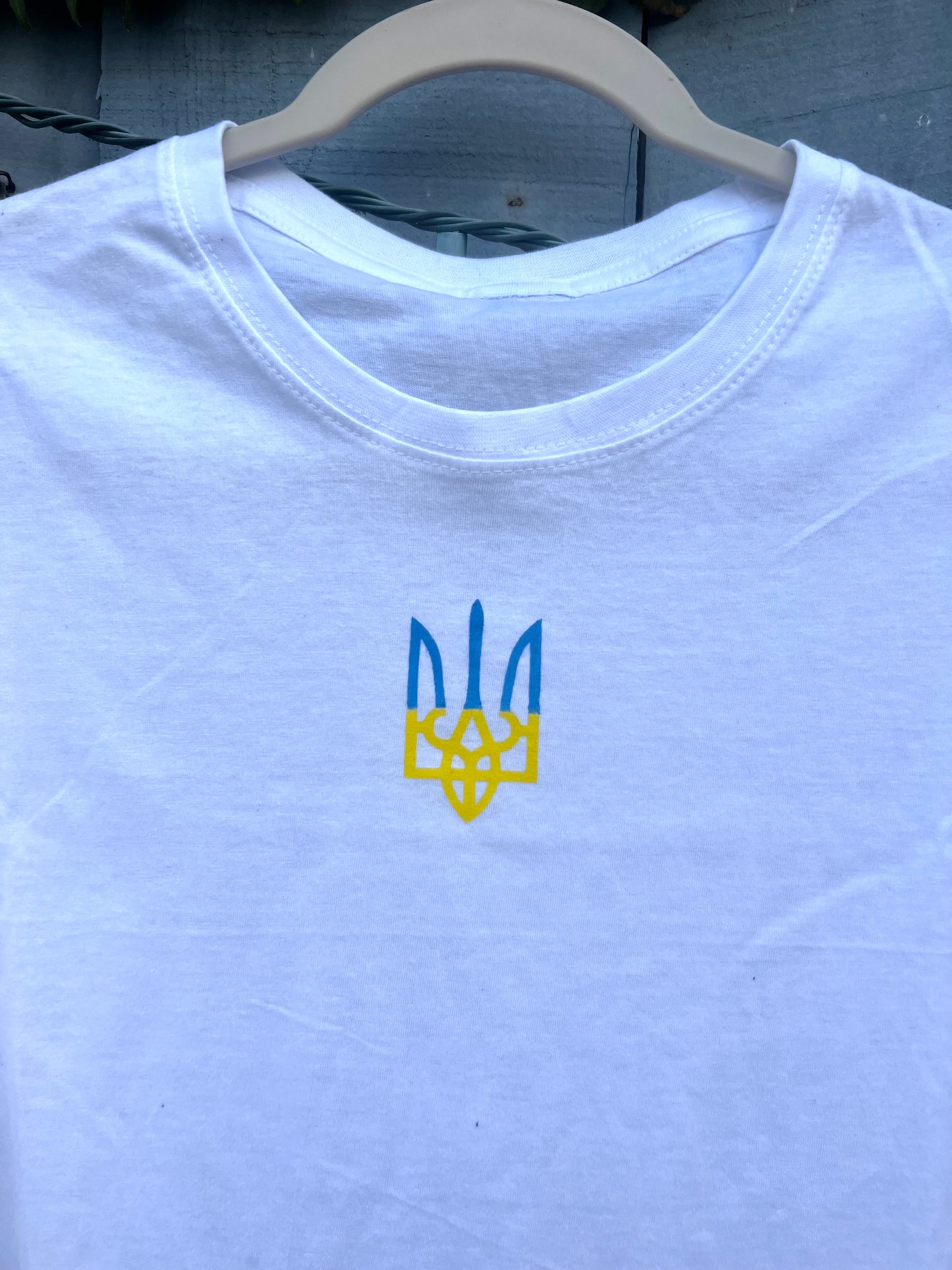 Ukrainian shirt