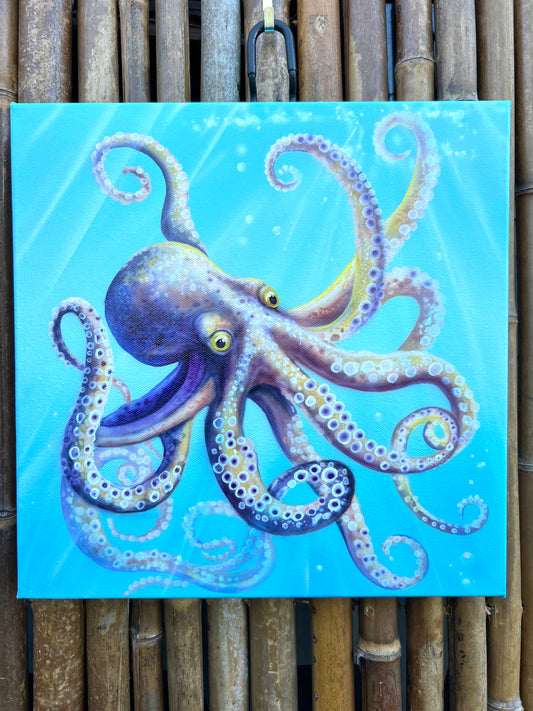 Cute Octopus