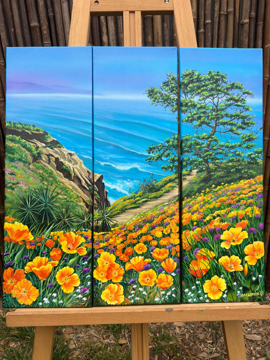 Torrey Pines