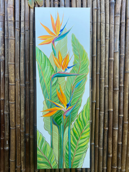 Birds of Paradise