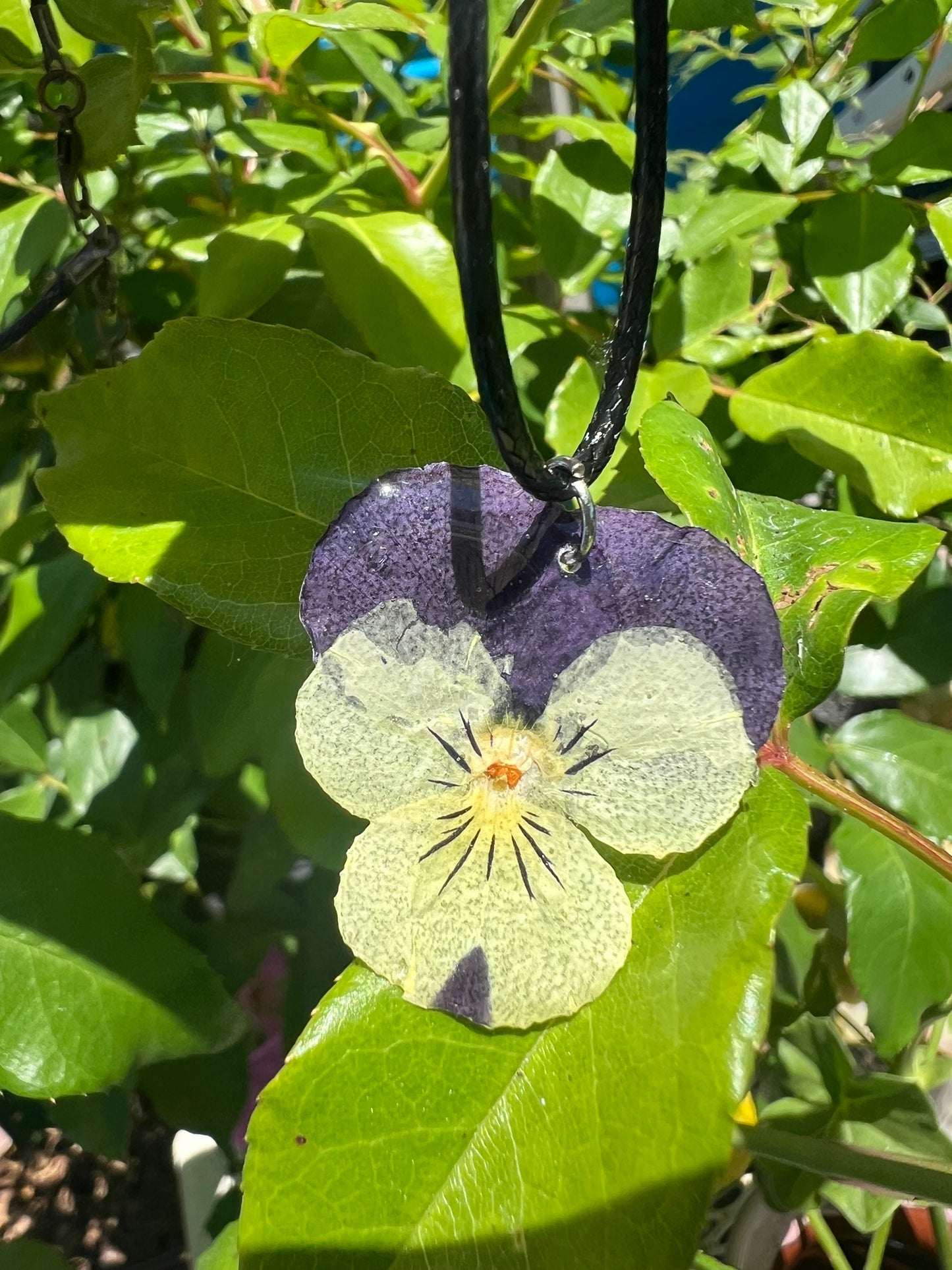 Viola necklace