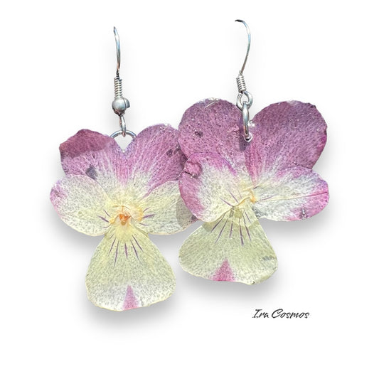 Real Viola flowers earrings