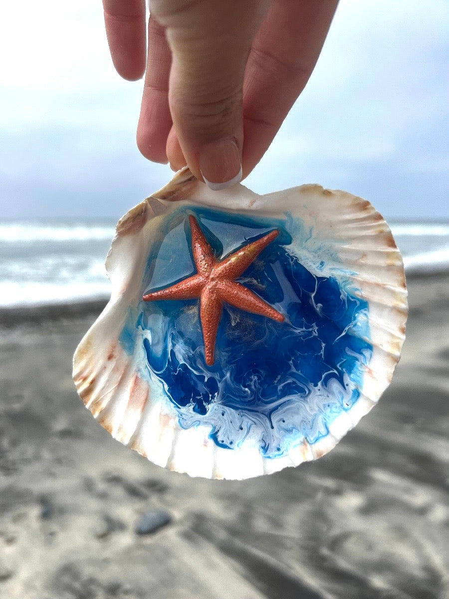 Star Fish in the shell