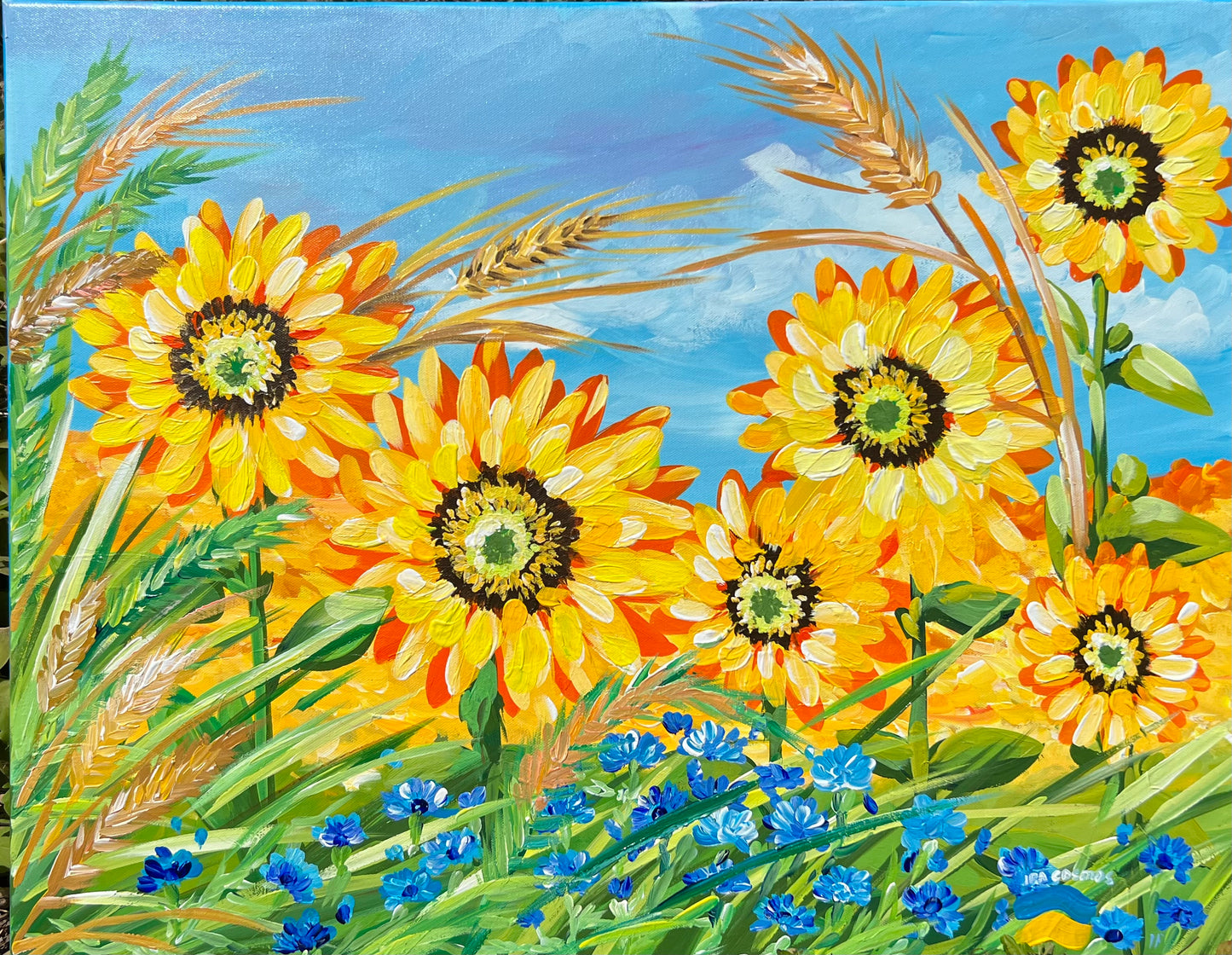 Sunflowers field in Ukraine