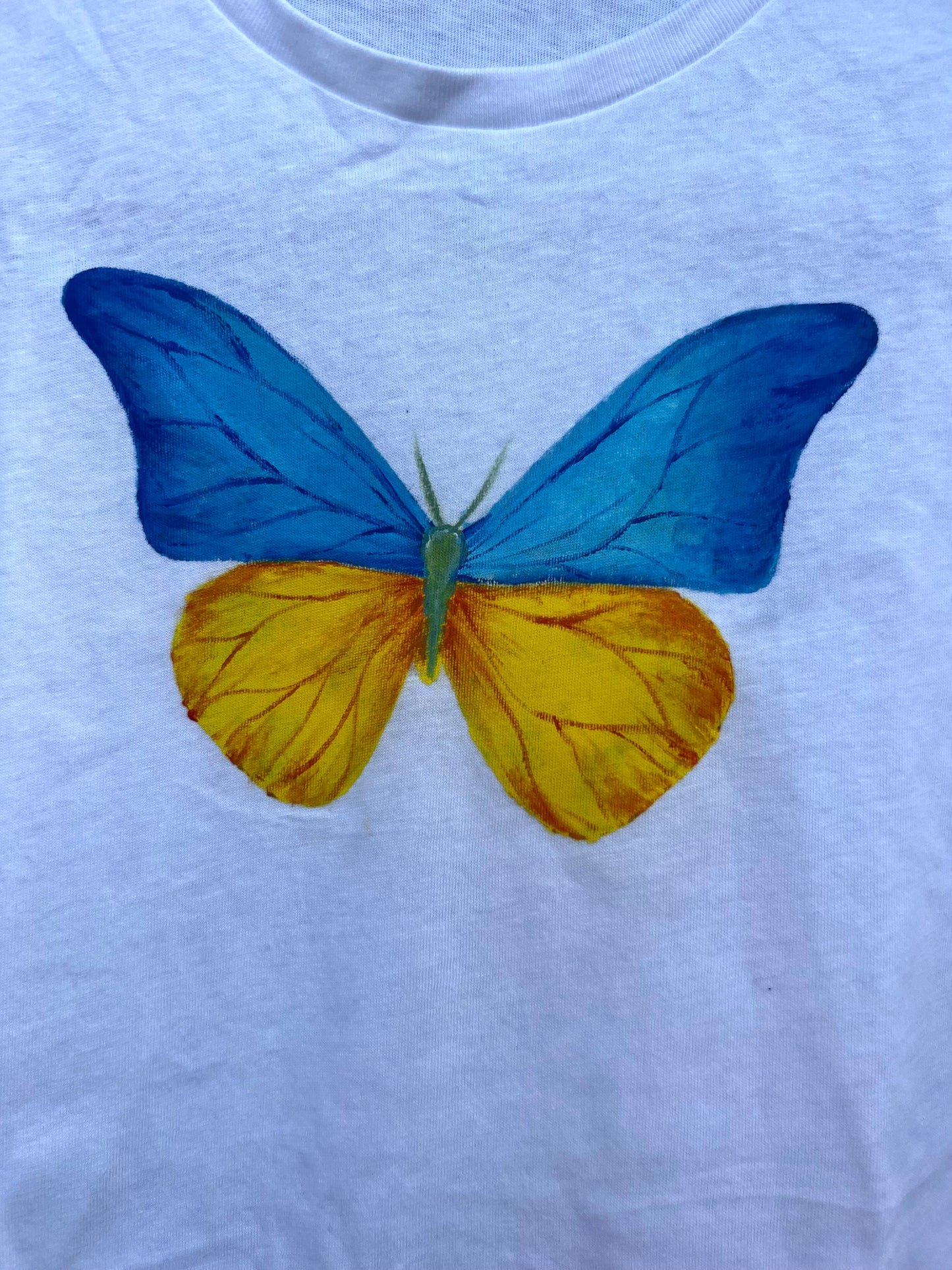 Blue and Yellow Butterflies