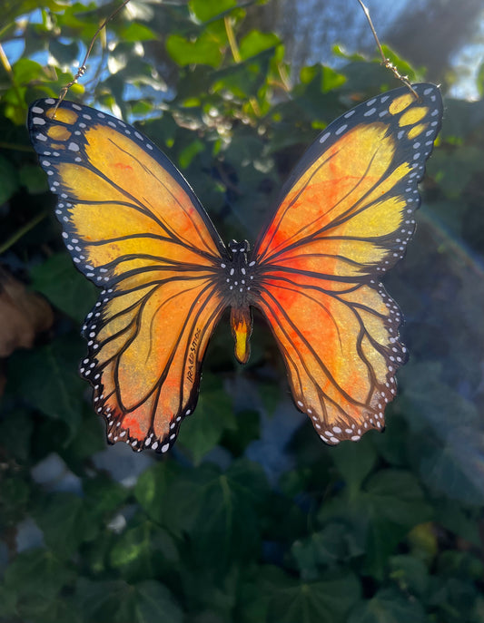 Garden Butterflies