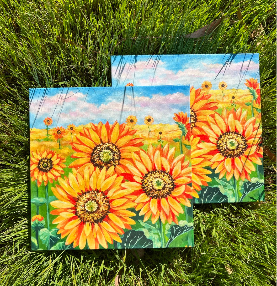 Ukrainian Sunflowers field. Blue and yellow flag